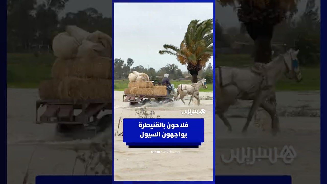 فلاحو المكرن ينقولون الماشية الى وجهات آمنة بعد محاصرتهم بالفيضانات thumbnail