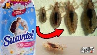 USOS SECRETOS QUE NO CONOCÍAS DEL SUAVITEL