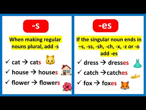 When to use -S or -ES? 🤔 Plural Nouns | Learn with Examples
