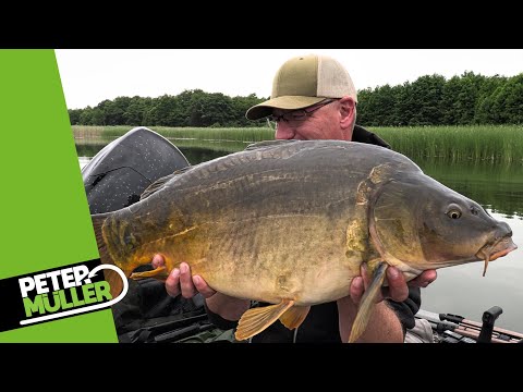 Karpfenangeln - Spontanes Angeln im Sommer | #carpfishing #fishing #angeln