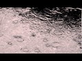 Sharon's Gate- Rain Song from "The Mountain Goats"