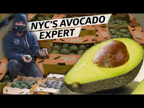 How The Avocado King Of New York Sells 20,000 Pounds Of Avocados A Week