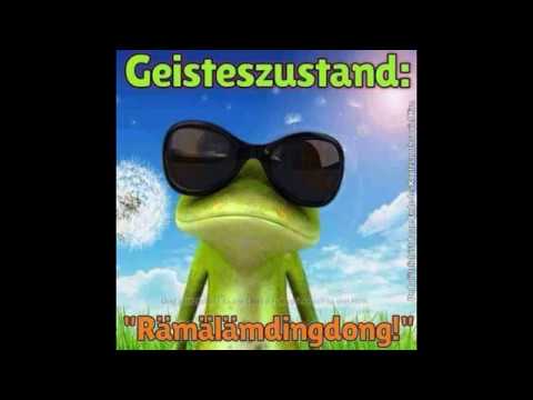 2017 05 04   IBANEZFIEBER!!!!!!