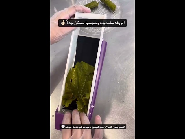 عرض أداتين لف ورق العنب والملفوف