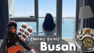 [바이크 솔투 Ep.1] 무계획이 계획이다. 원주-부산 400km, 9시간의 대장정 / 파니갈레