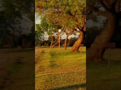 Amanecer en María Grande ( 29/03/2026)