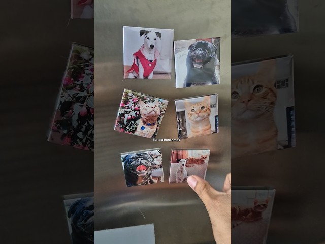 Vídeo relacionado con Foto Imán de Nevera Estilo instantanea 10,7X8,8 Personalizable, 5 Fotos Diferentes (5)