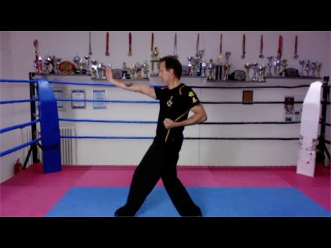 CRCA - Wing Chun Form - Biu Jee Set VI (Live)