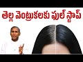 తెల్ల వెంట్రుకలకు ఫుల్ స్టాప్ Turn White Hair In