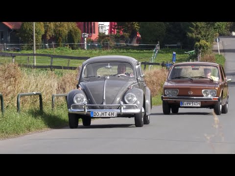Alles andere als eine "Graue Maus"? 63er VW Export Käfer // HoffSpeedTV