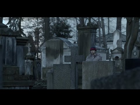 Marcin Januszkiewicz - Marchewkowe Pole (Perfect Lady Pank)