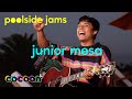 Junior Mesa - "Losing My Grip" - Poolside Jams