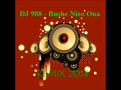 DJ 988 - Bushe Nizo Ona [Remix 2014]