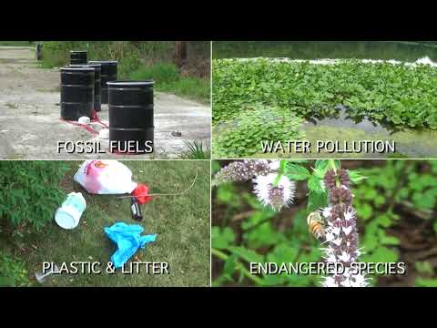 The "Green Thumbs Up" Challenge