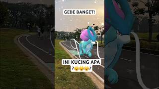 HOOPA MUNCULIN KUCING DEWA!! #pokemon #pokemongame #pokemonugo #bangugo #suicune #pokemonreallife