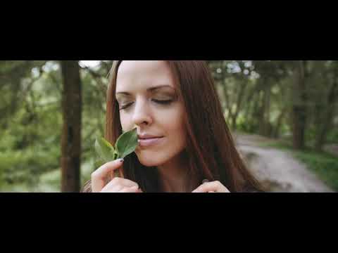 The Whole Damn Heartbreak Symphony - The Igroovinati (Feat. Becka)