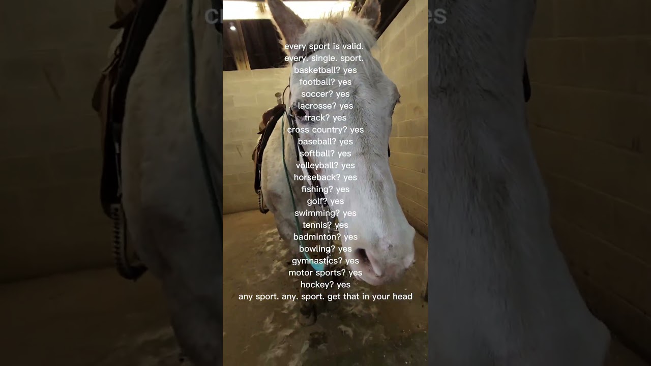 I have to say this way to often #remix #music #helpmemakethismakesense #essasarevalid #puppy #cosp