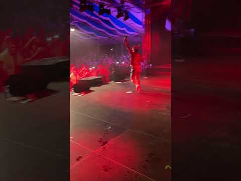 Brunner Wiesn 2022   Lorenz Büffel Intro2