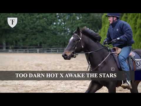 Too Darn Hot x Awake The Stars