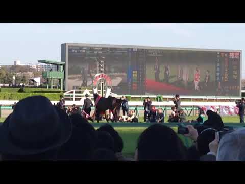 中山グランドジャンプ2019☆オジュウ表彰式