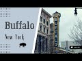 Buffalo Buffalo Drive Travel