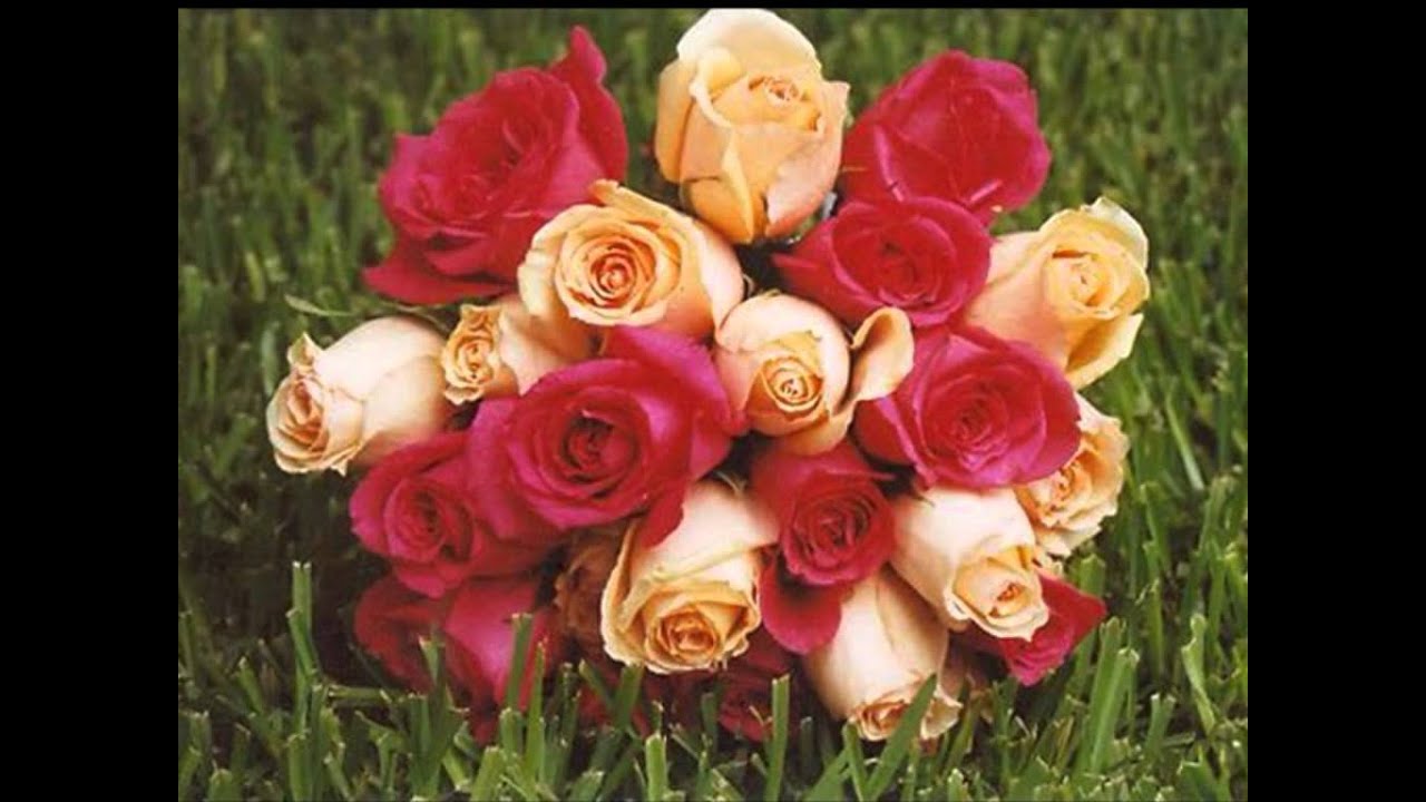 Ho Gaya Ji Ho Gaya Lyrics | Do Aankhen Barah Hath | Kumar Sanu, Kavita Krishnamurthy | Bappi Lahiri