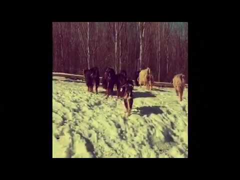 Önder çabuk-doktor çaresiz derdimin sebebi belli