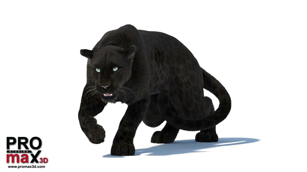 Black Panther Rigged Fur 3D Model