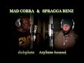 MAD COBRA & SPRAGGA BENZ dubplate {Asylum Sound} @ dainjamentalz u$a 4