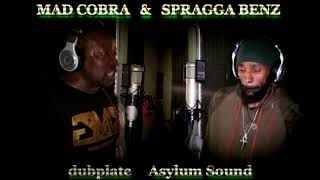 MAD COBRA &amp; SPRAGGA BENZ dubplate {Asylum Sound} @ dainjamentalz u$a 4