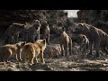 The Lion King SIMBA HINDI Dubbed Lionking2019 Movie Viralvideo