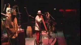 Tarantella-Canna Austina