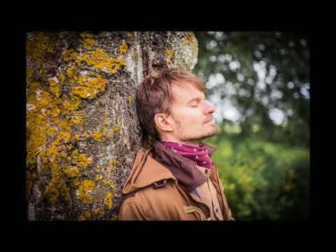 Tõnu Tepandi - Tammelaul