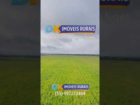 🚜 Arrendamento de Fazenda para Arroz no RS | Entre Alegrete e Rosário do Sul 🌾