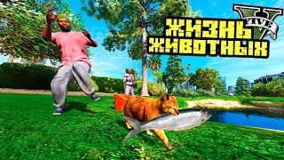 КОТ УКРАЛ РЫБУ У БОМЖЕЙ! ЖИЗНЬ ЖИВОТНЫХ В GTA 5. Серия 8