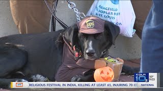 11th Annual Pets and Pumpkins Event Held