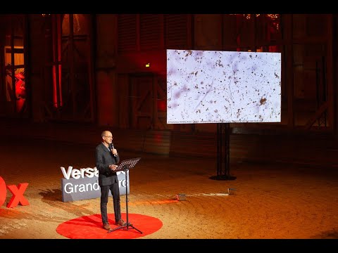 Repenser notre lien avec l’Océan | Roberto Casati | TEDxVersaillesGrandParc