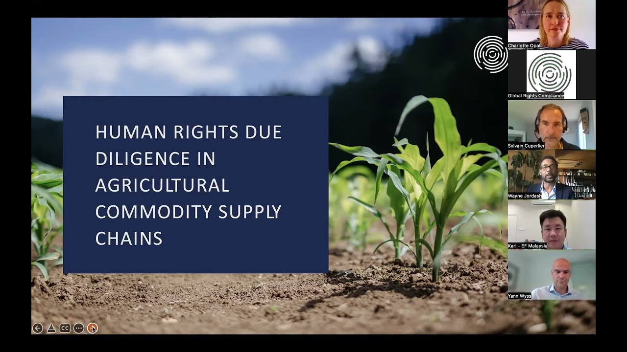 Demystifying Human Rights Due Diligence: an open conversation
