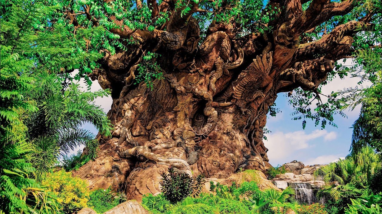 Animal Kingdom | Tree of Life | BGM Loop