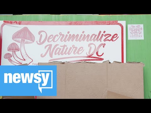 The Push To Decriminalize Psychedelic Drugs