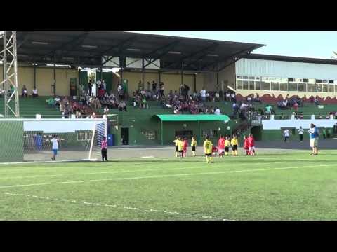 MINIPREBENJAMINES FIRGAS LABRANTES