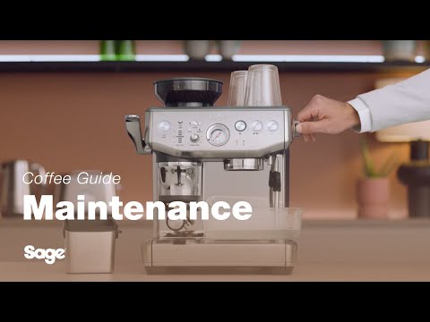 The Barista Express™ Impress | How to perform a Descale cycle | Sage Appliances UK