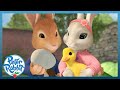 @OfficialPeterRabbit- 🥚EGG-citing Easter Adventures & Hunts With Friends 2024 🐰🐥 | Cartoons for Kids
