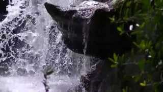 Make The World Go Away - Henry Mancini &amp; His Orchestra And Chorus