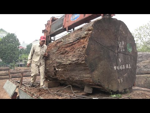 Amazing Biggest Wood Sawmill Machine Working - Sawmill Factory With Big Logs