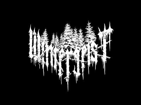 Wintergeist - Fjording / Frostnächte 2015 (full-length)