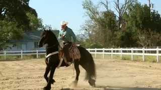 Rafa Ramos - Que Bonita es la Vida ( HD)