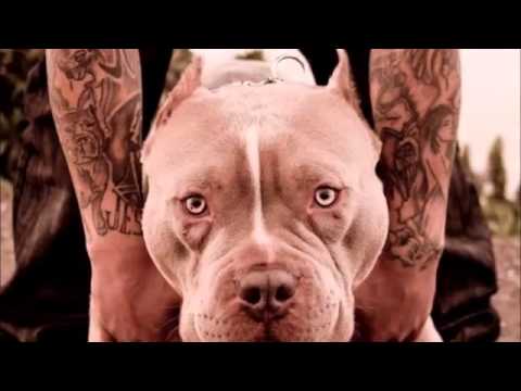 FlowPi - Neider hier, Neider da!