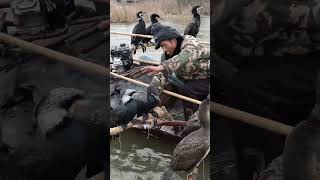 Download lagu Memancing Burung Kormoran Besar #tangkap #ikan #untukmu #luarruangan #fyp mp3