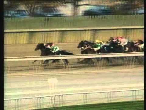 1990 NYRA Mile - Quiet American